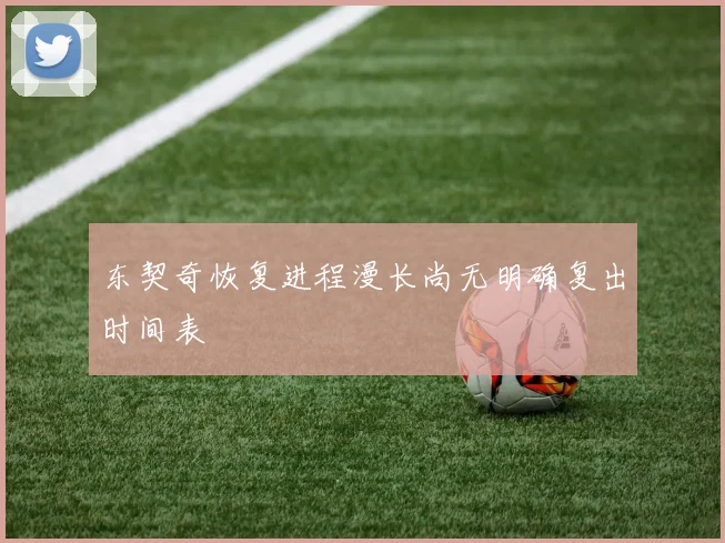 东契奇恢复进程漫长尚无明确复出时间表