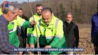 Büyükşehir’den kestane üretimine destek